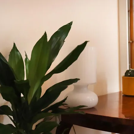 Διαμέρισμα Spacious And Vintage - Modern *