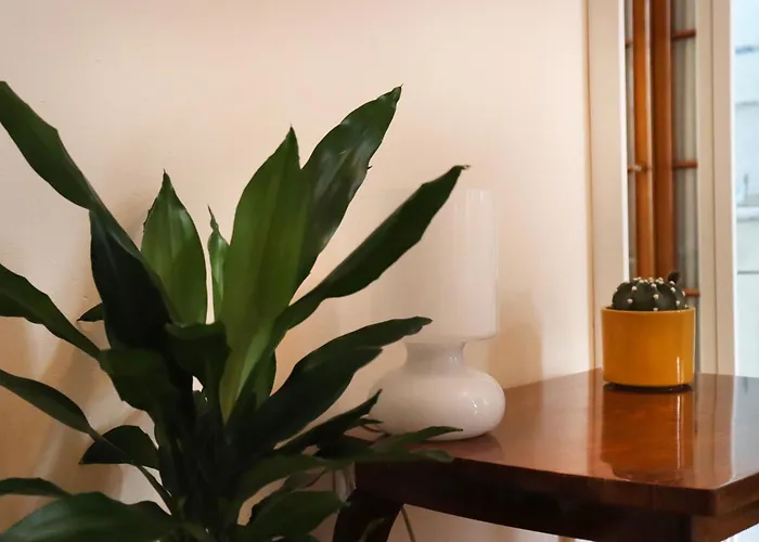 Apartamento Spacious And Vintage - Modern *